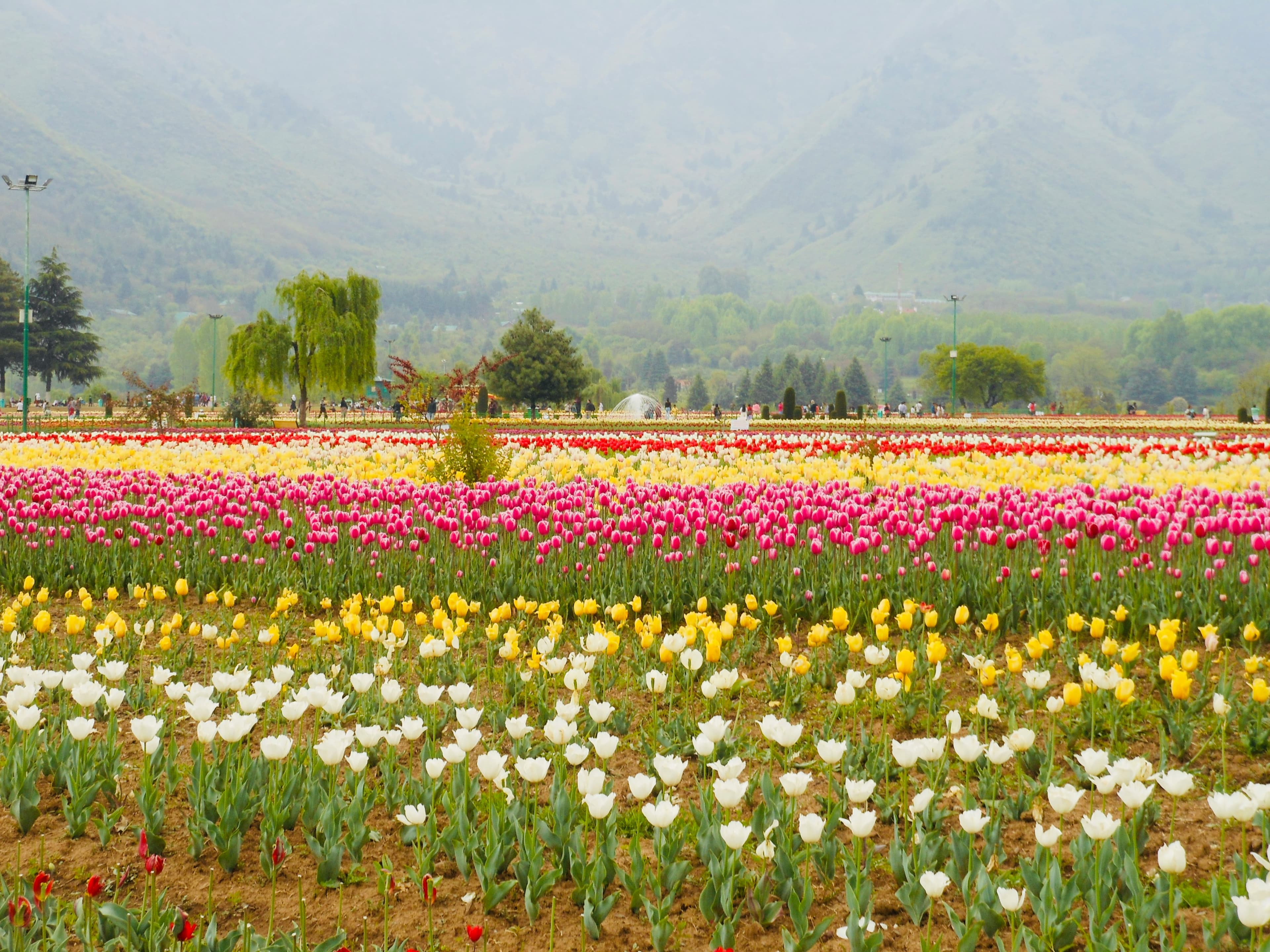 PAHALGAM – SRINAGAR VIA EN-ROUTE SIGHTSEEING — Srinagar